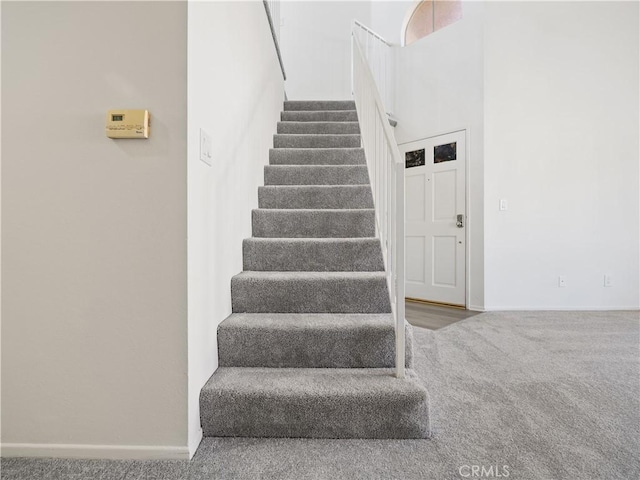 stairs featuring carpet floors