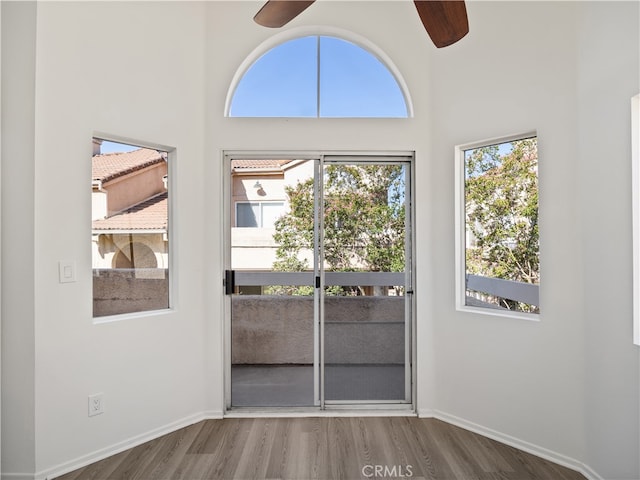 doorway with a high ceiling, wood-type flooring, plenty of natural light, and ceiling fan