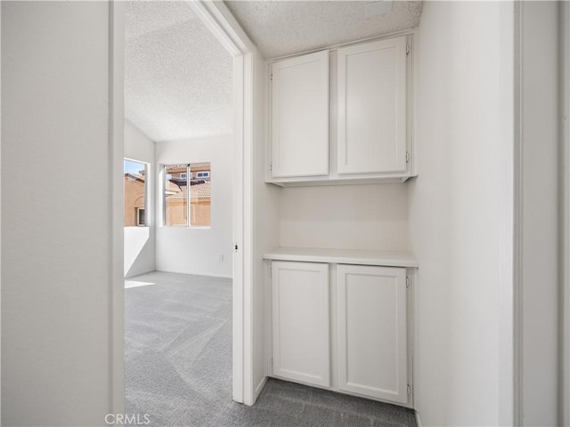 19810 Sandpiper Pl Unit 22, Newhall, CA 91321 - hall with carpet floors and a textured ceiling