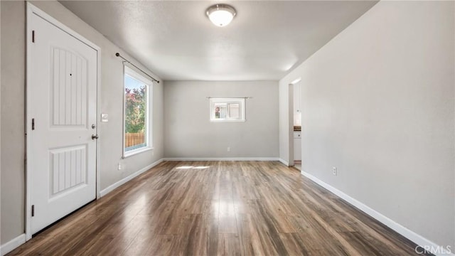 entrance foyer featuring wood-type flooring