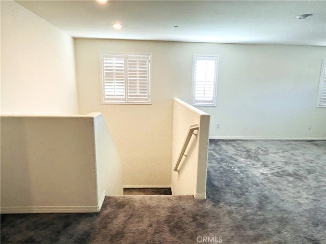 staircase featuring carpet flooring