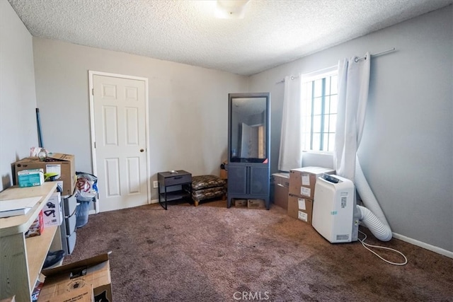 interior space with a textured ceiling and carpet floors