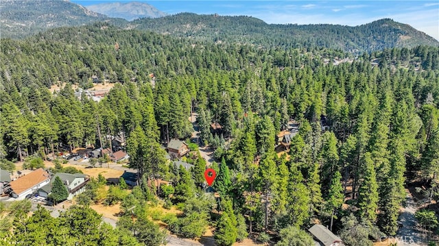 birds eye view of property with a mountain view