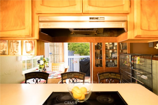 kitchen featuring a healthy amount of sunlight