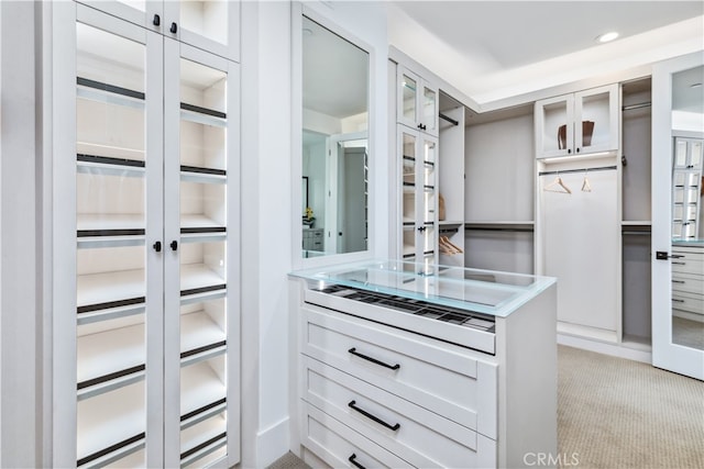 spacious closet with light carpet