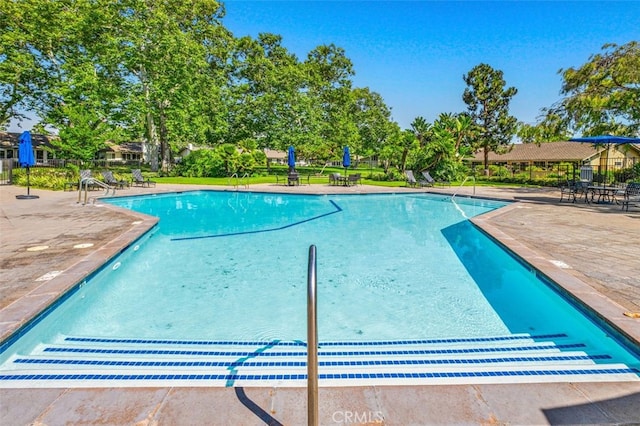 view of swimming pool with a patio