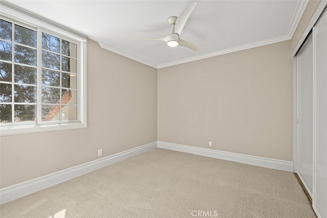 interior space with ceiling fan, a closet, crown molding, and carpet flooring