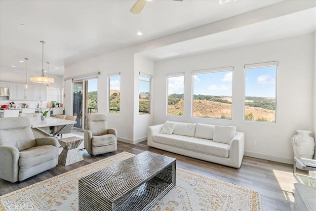 living room featuring light hardwood / wood-style floors and ceiling fan