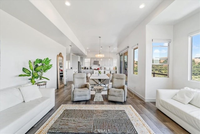 living room with dark hardwood / wood-style flooring