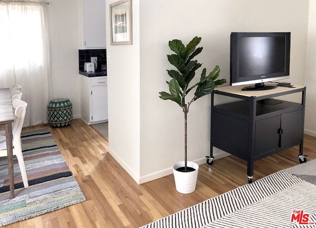 interior space featuring light hardwood / wood-style flooring