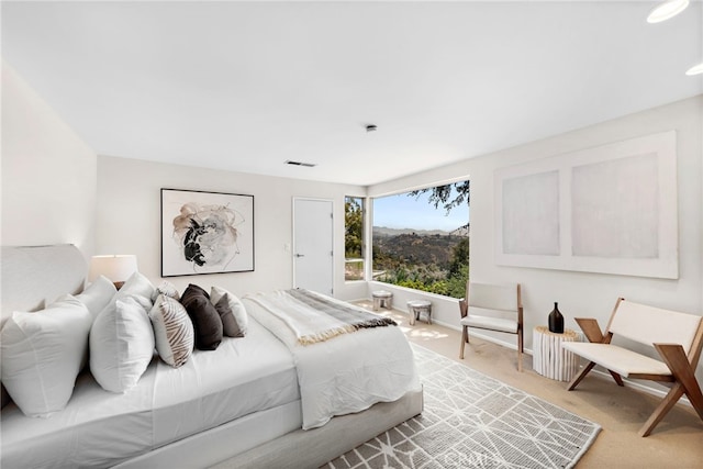 view of carpeted bedroom