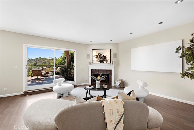 living room with a premium fireplace and hardwood / wood-style flooring