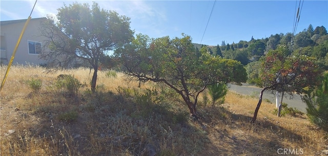 Listing photo 2 for 9911 Emerald Dr, Kelseyville CA 95451