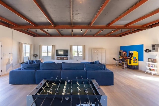 living room featuring hardwood / wood-style flooring