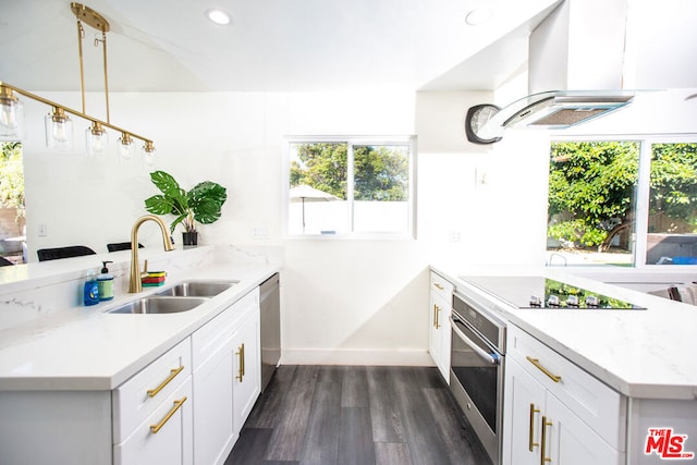 kitchen featuring sink, appliances with stainless steel finishes, range hood, dark hardwood / wood-style flooring, and white cabinetry