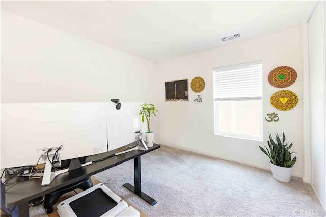 workout area featuring carpet floors