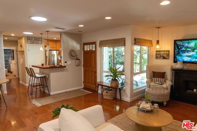 living room featuring hardwood / wood-style floors