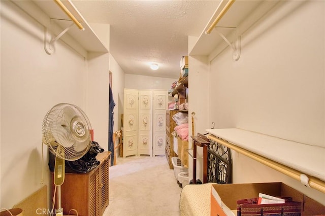 walk in closet with light carpet