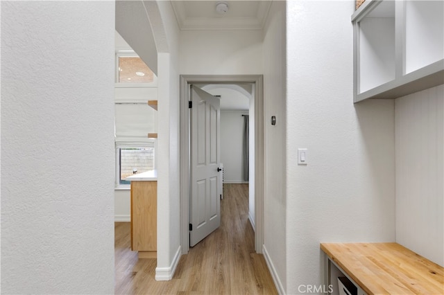 hallway with light hardwood / wood-style floors and crown molding