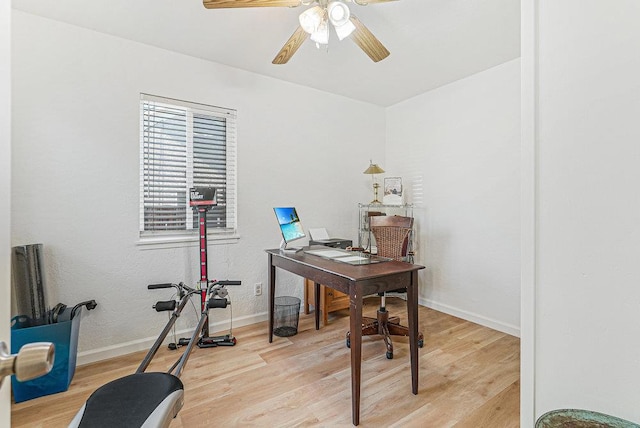 office space featuring light hardwood / wood-style floors and ceiling fan