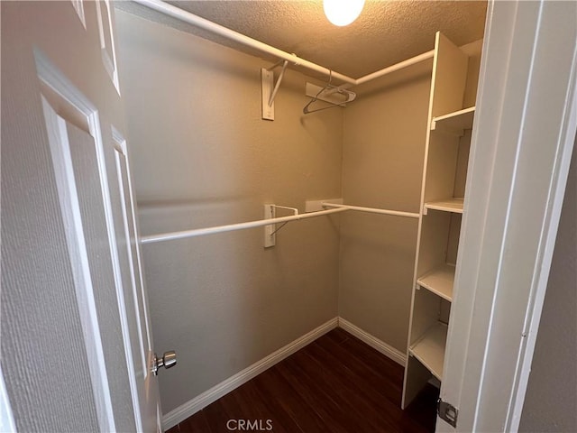 walk in closet featuring dark hardwood / wood-style floors