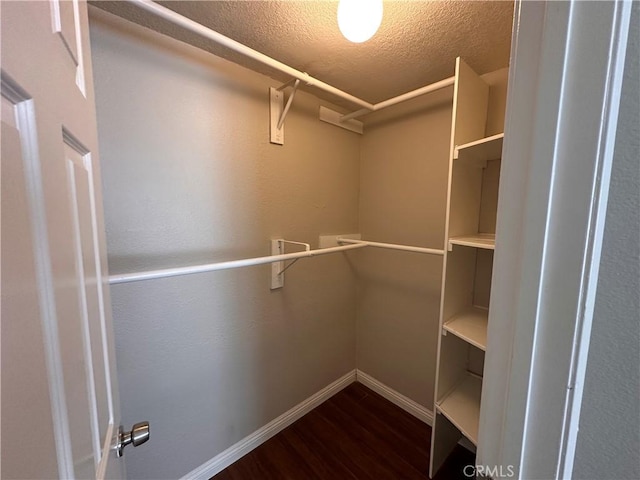 walk in closet featuring wood finished floors