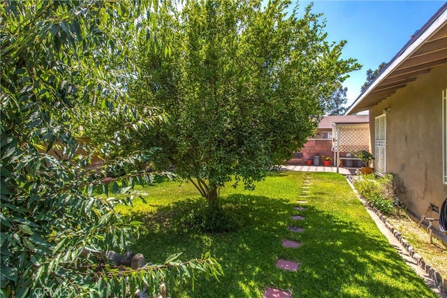 view of yard featuring a patio area