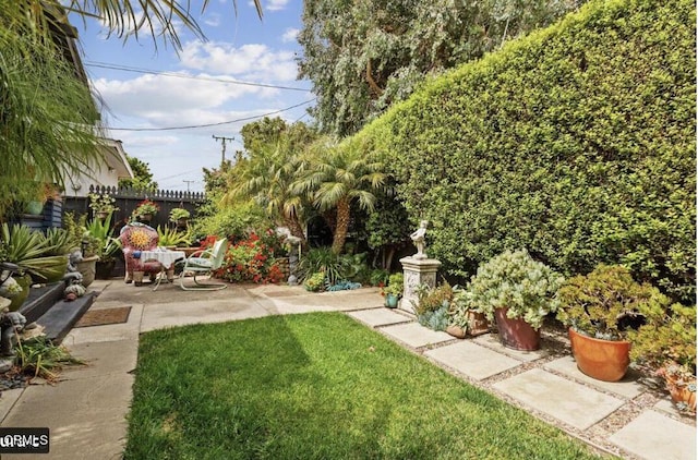 view of yard featuring a patio