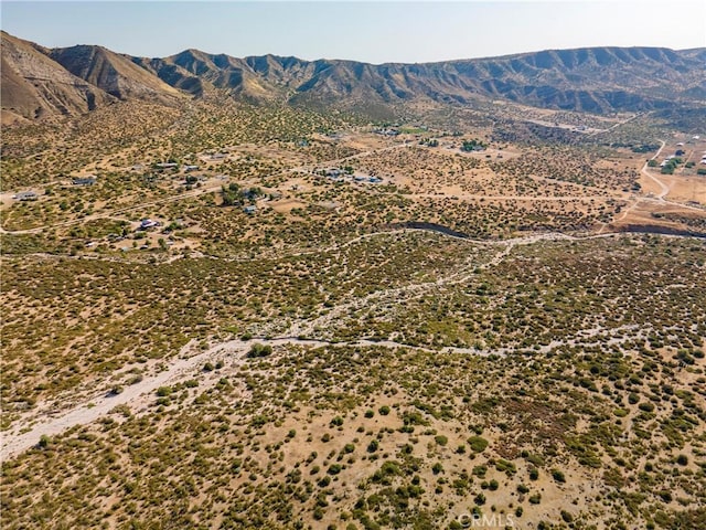 6500A US Highway 138, Phelan, CA 92371 - photo 4