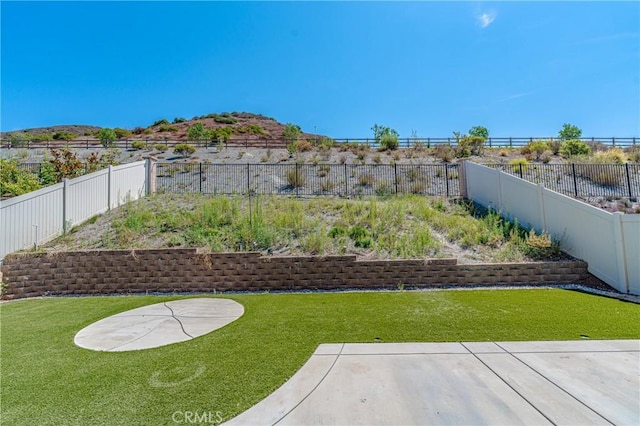 view of yard featuring a patio