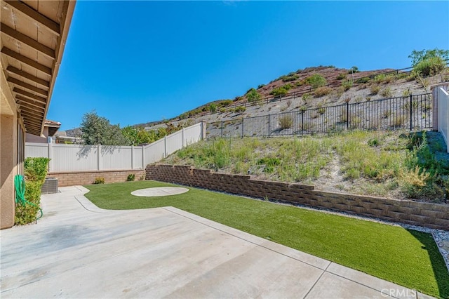 view of yard featuring a patio area