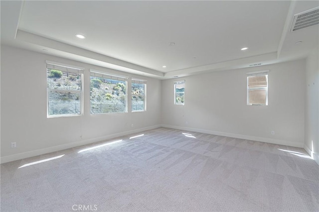 spare room with light carpet and a tray ceiling