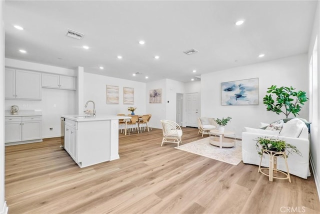 living room featuring light hardwood / wood-style flooring and sink