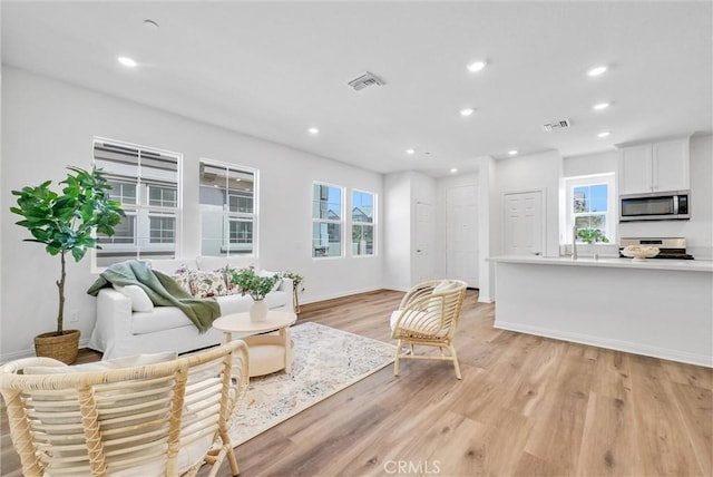 living room featuring light hardwood / wood-style floors and sink