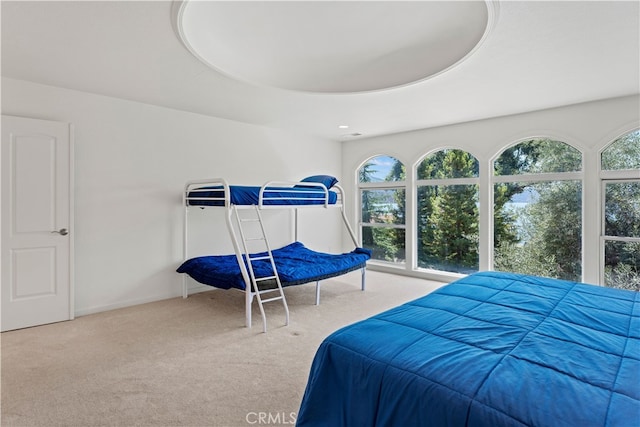 bedroom with multiple windows, a raised ceiling, and carpet floors