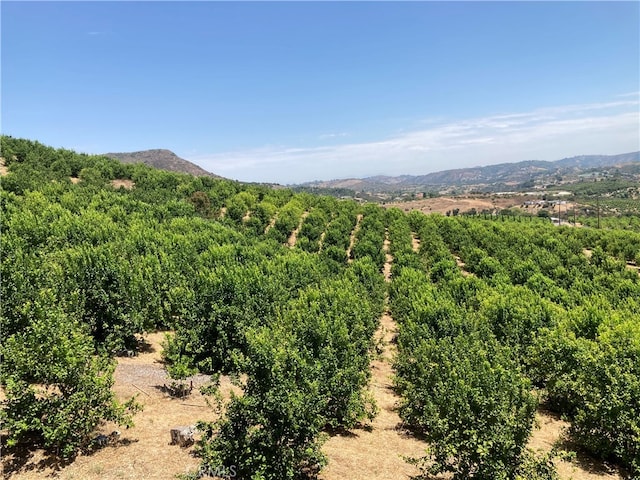 39 Carancho Rd, Temecula CA, 92590 land for sale