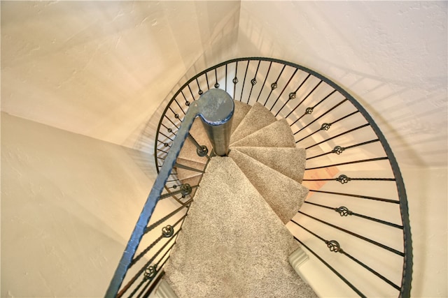 stairs with carpet flooring