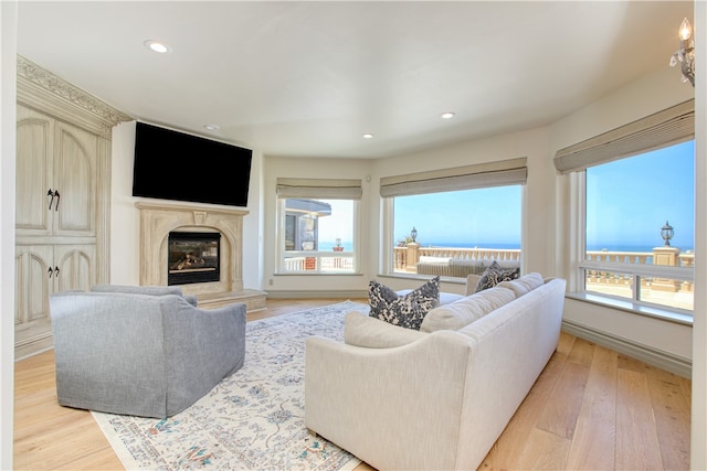 living room with light wood-type flooring, a premium fireplace, and plenty of natural light