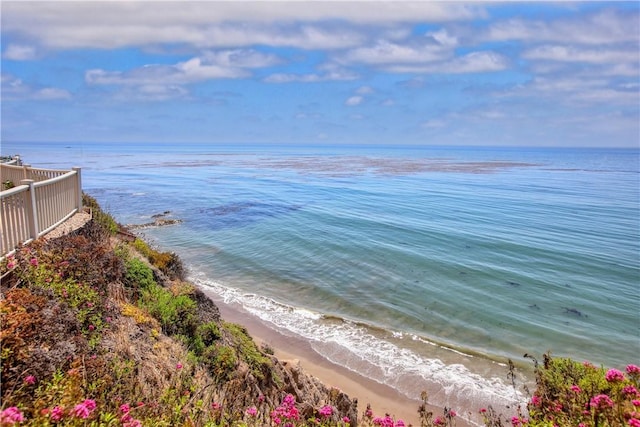 water view with a view of the beach