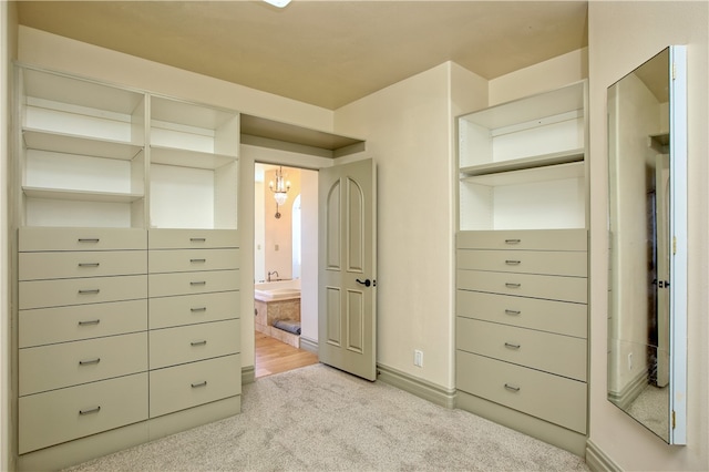 walk in closet with light colored carpet