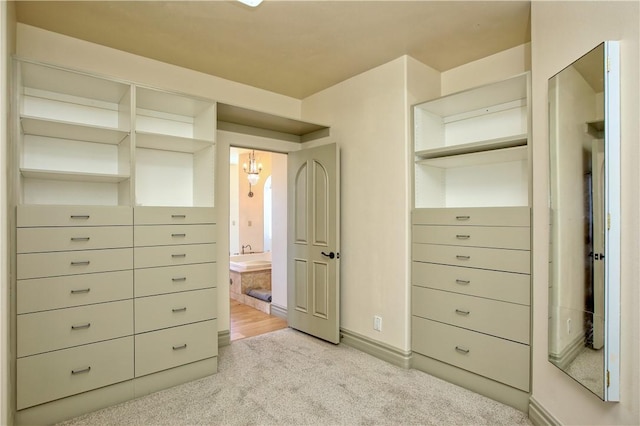 spacious closet with light colored carpet