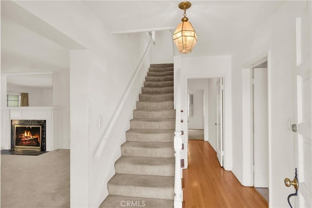 stairs with a high end fireplace and hardwood / wood-style flooring