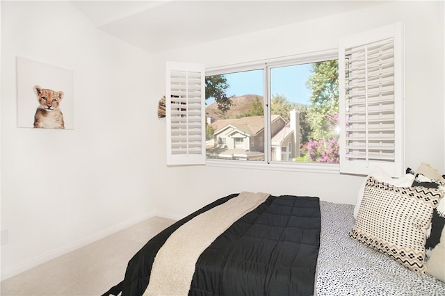 view of carpeted bedroom