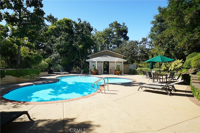 view of pool featuring a patio