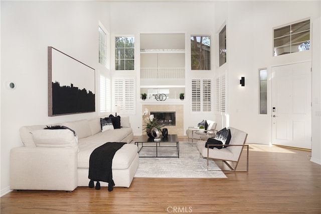 living room with plenty of natural light and hardwood / wood-style floors