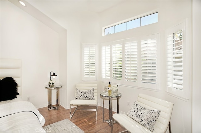 sitting room featuring hardwood / wood-style flooring and plenty of natural light