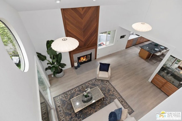 living room featuring light wood-type flooring