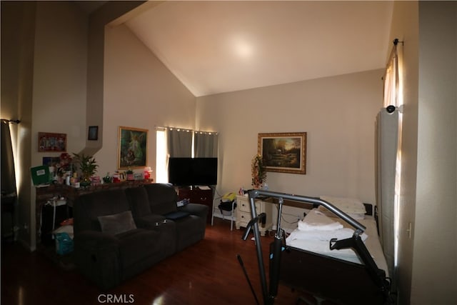 living room featuring dark hardwood / wood-style flooring and high vaulted ceiling