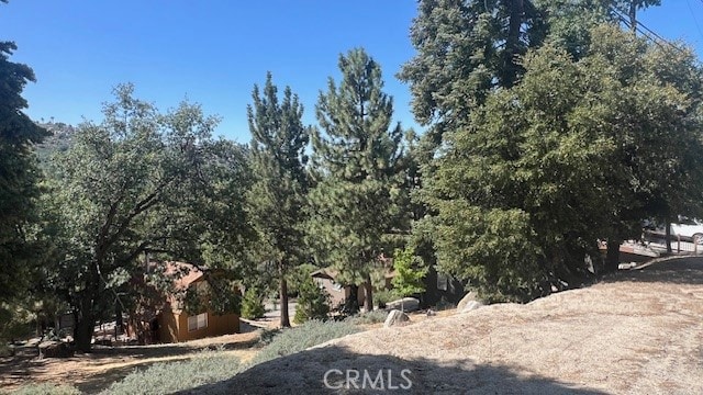 Listing photo 3 for 0 Piedras Grande, Green Valley Lake CA 92341