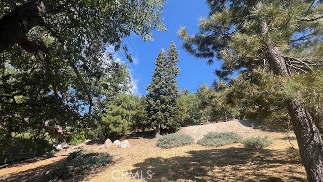 0 Piedras Grande, Green Valley Lake CA, 92341 land for sale